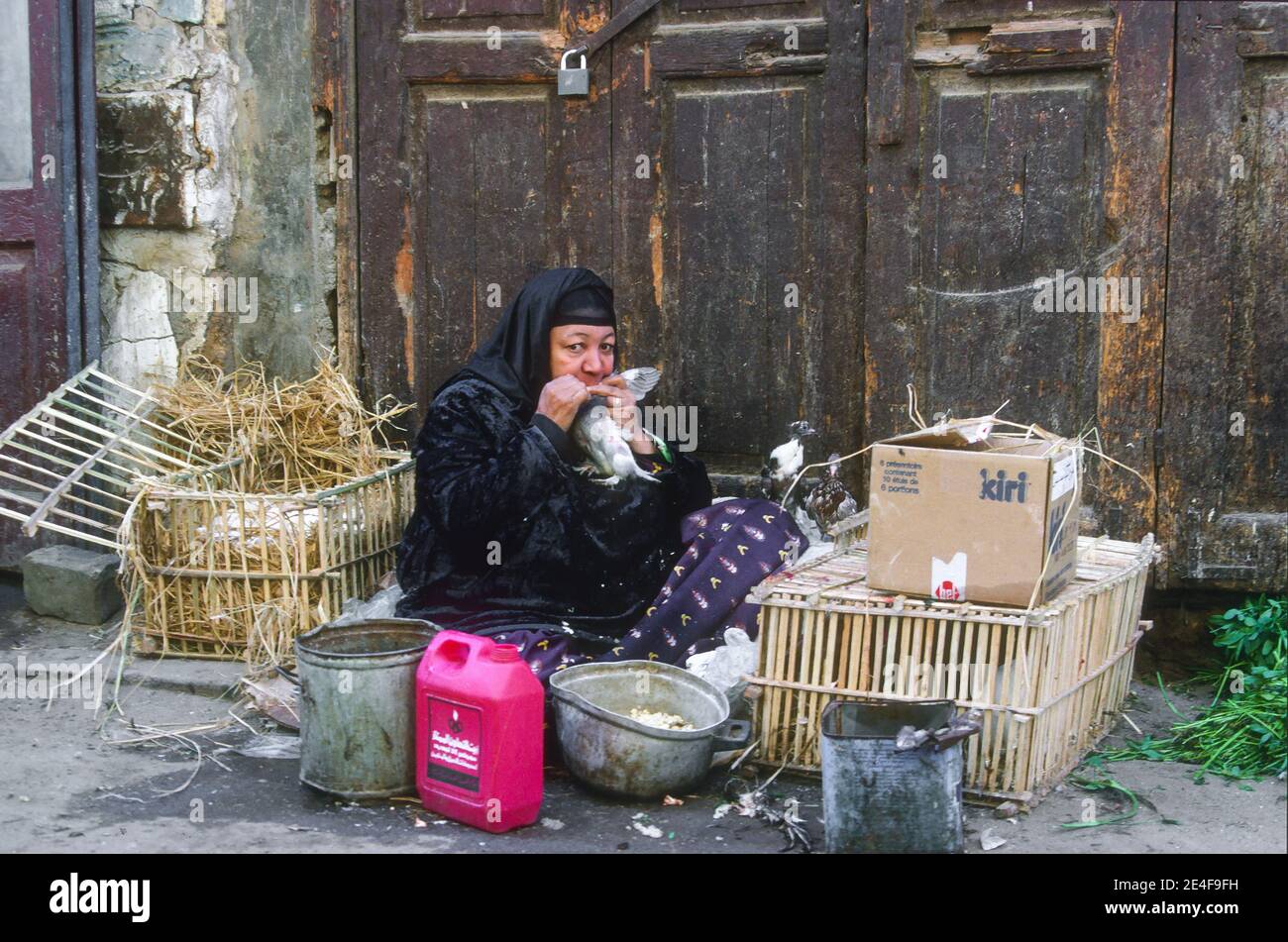 Pigeon venditore vecchio quartiere Cairo Egitto Foto Stock