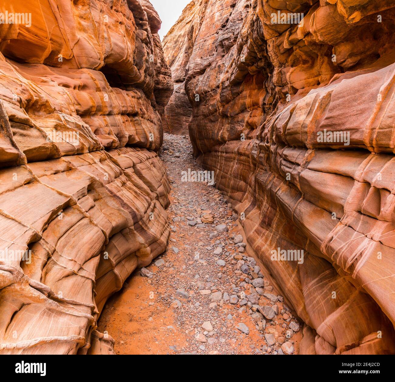 Slot Canyon con pareti pastello a Kaolin Wash, Valley of Fire state Park, Nevada, USA Foto Stock