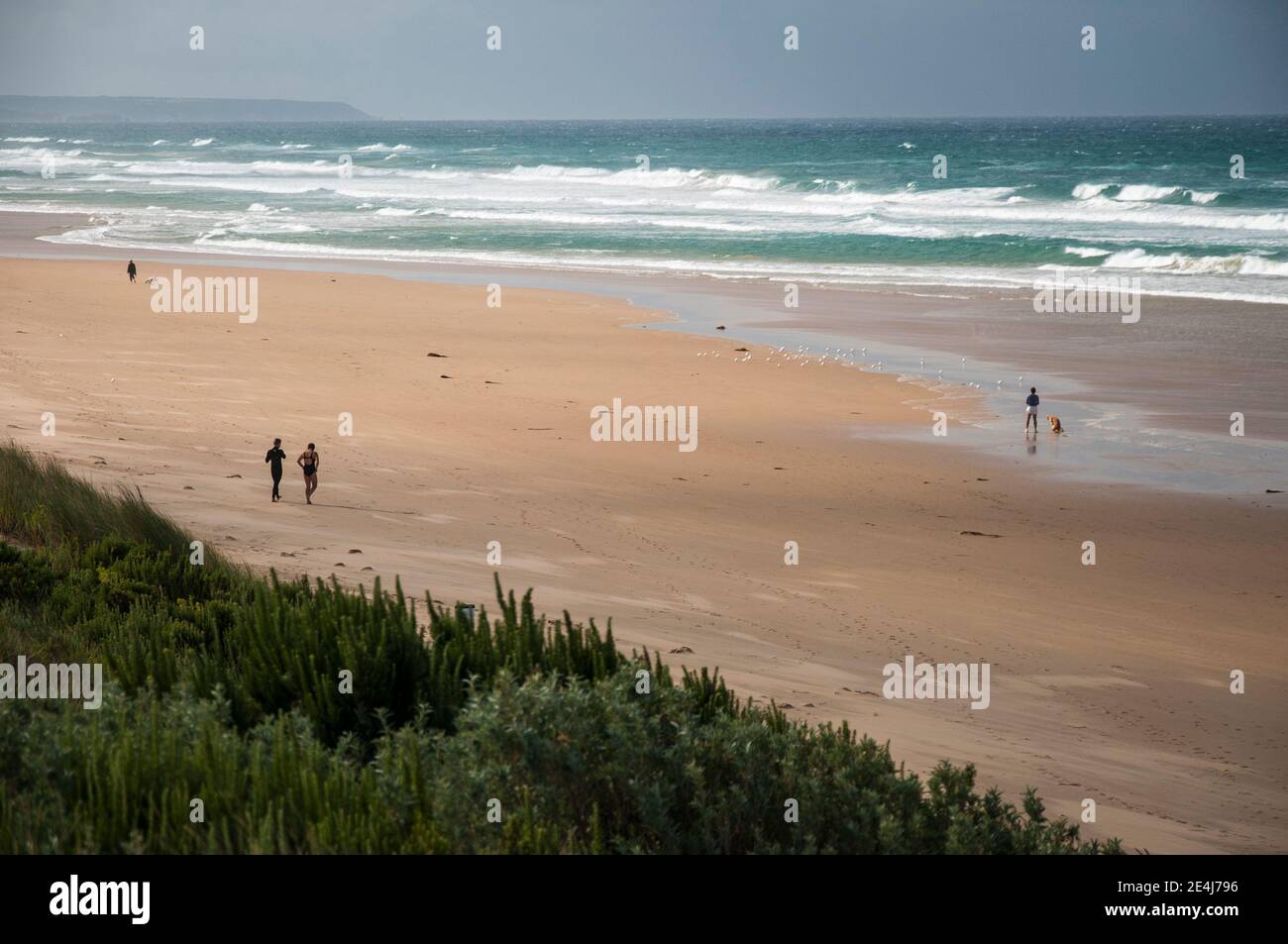 Spiaggia oceanica a Venus Bay, Victoria, Australia Foto Stock