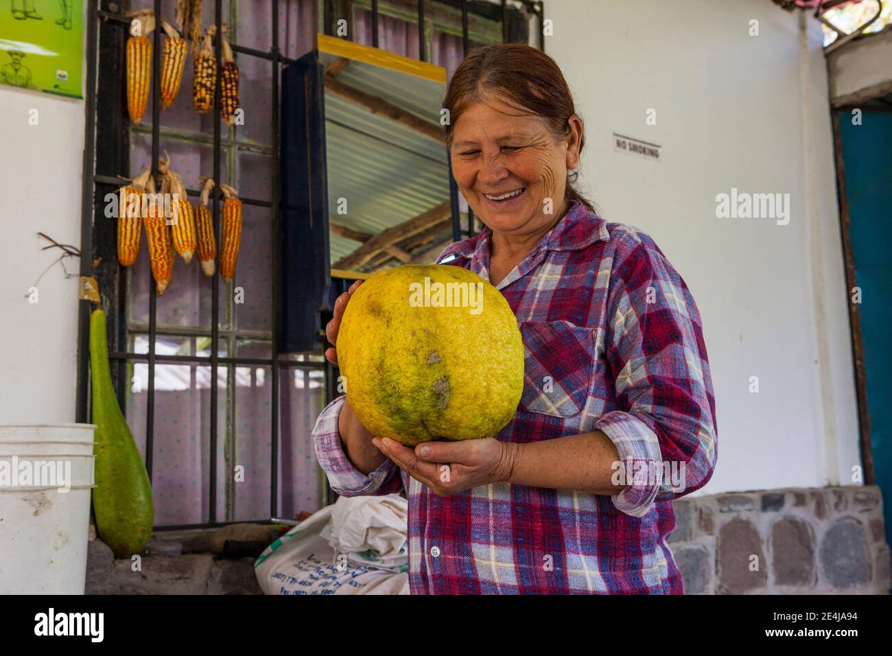 Donna panamaniana con un grande frutto d'uva nel sito storico Sitio Barriles, provincia di Chiriqui, Repubublico di Panama, America Centrale. Foto Stock