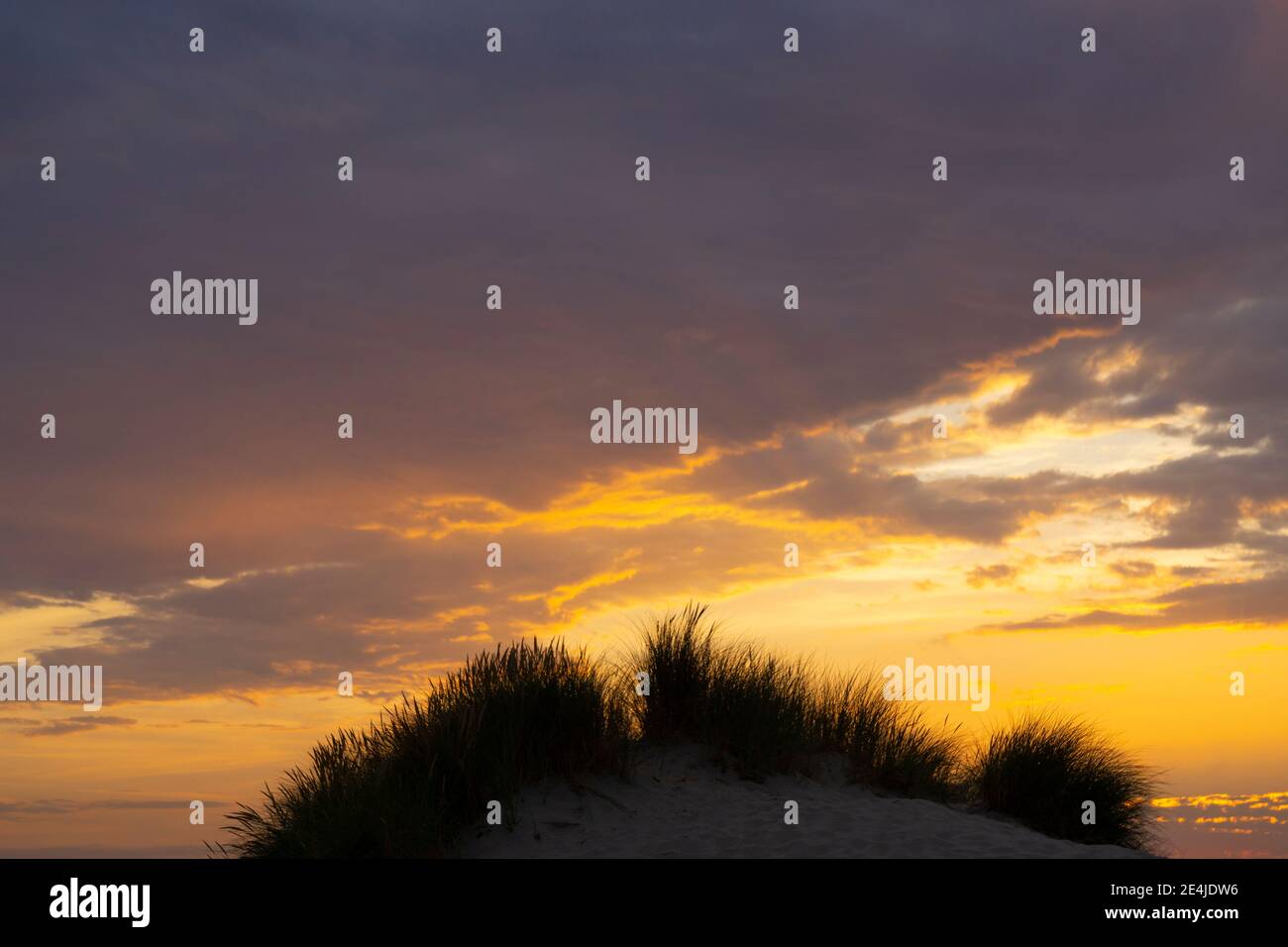 Dune alla luce della sera, Borkum, Isola Frisone Est, frisia Est, bassa Sassonia, Germania, Europa Foto Stock Dune alla luce della sera, Borkum, Isola Frisone Est, frisia Est, bassa Sassonia, Germania, Europa Foto Stock