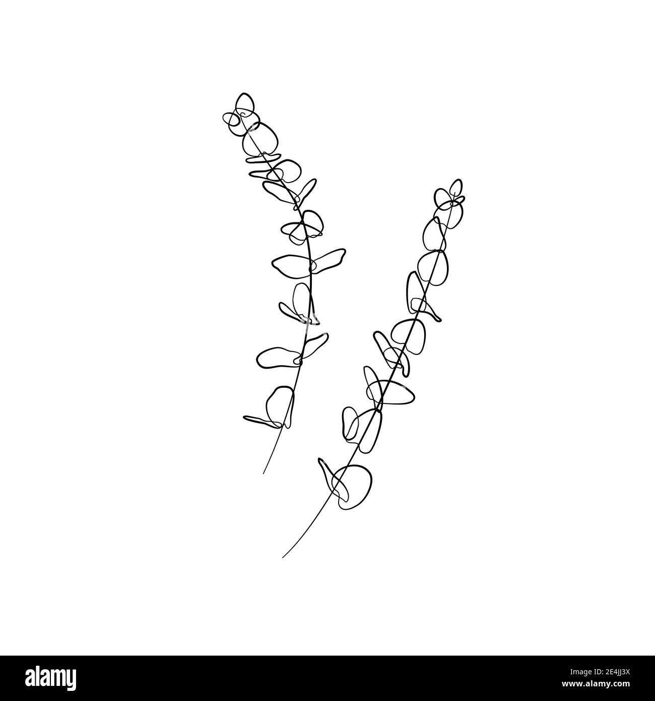 Aucalipto a linea singola. Una linea di impianti monocromatici art Illustrazione Vettoriale