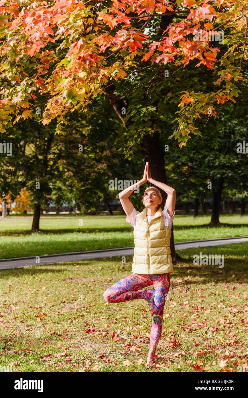 Donna matura che si equilibrano su una gamba, praticando yoga nel parco autunnale il giorno di sole Foto Stock