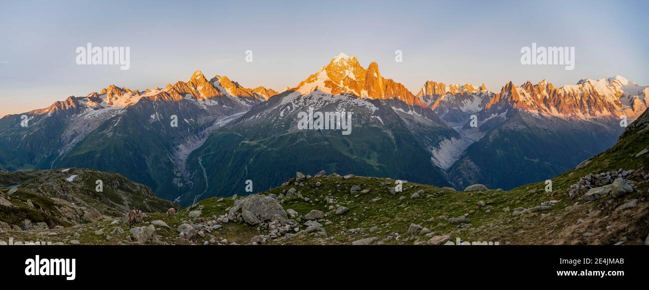 Bagliore alpino, panorama montano, Mer de Glace e Glacier d'Argentiere, Aiguille Verte, Aiguille du Midi, Aiguille du Moine, Monte Bianco, Grandes Foto Stock