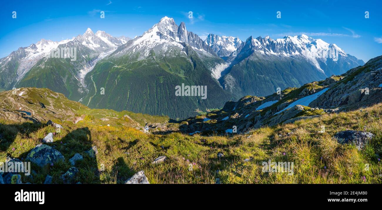 Panorama montano, ghiacciaio Mer de Glace e Glacier d'Argentiere, Aiguille Verte, Aiguille du Midi, Aiguille du Moine, Monte Bianco, Grandes Jorasses Foto Stock