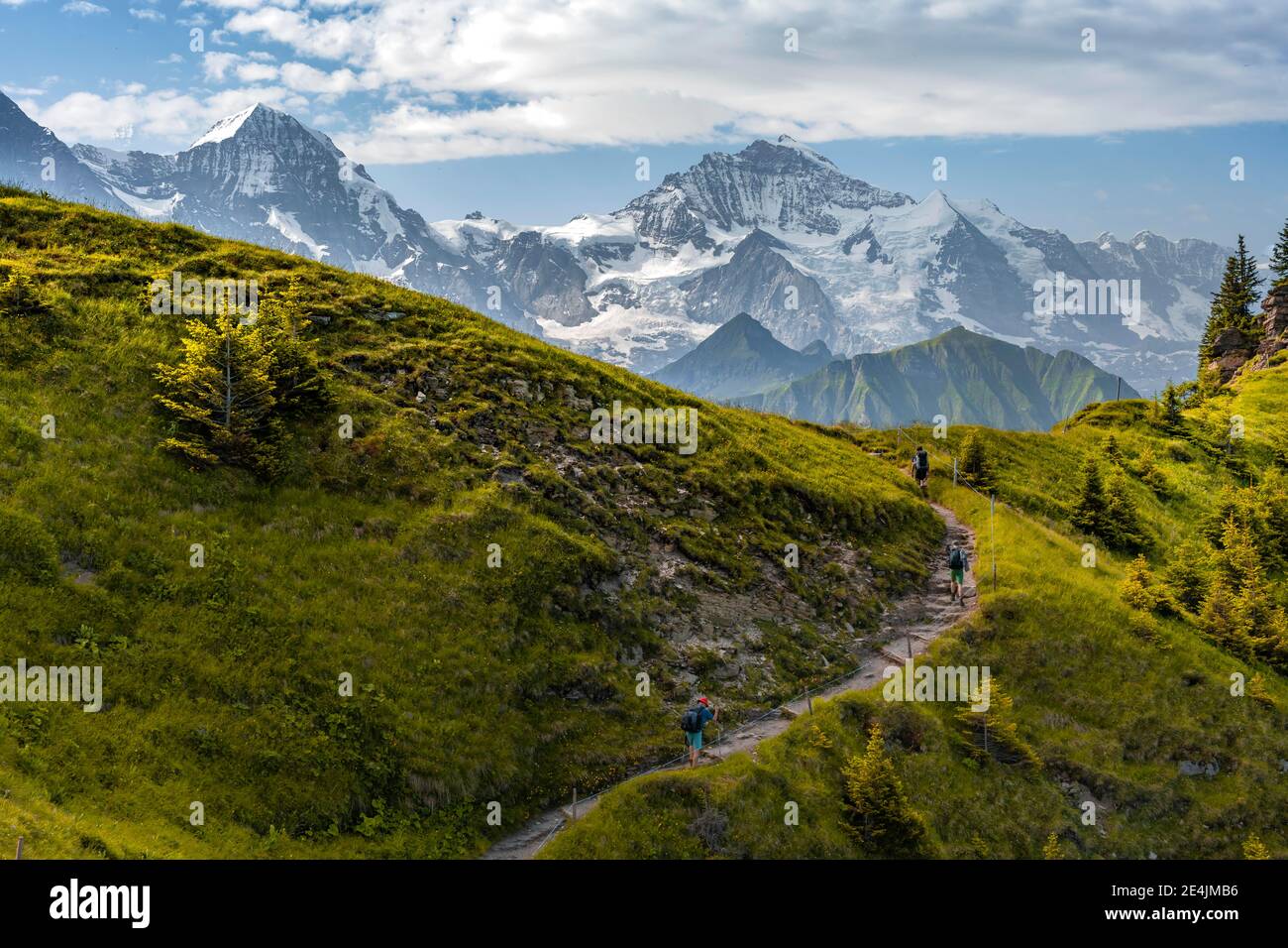 Escursionista su sentieri escursionistici, cime innevate, Eiger, Moench, Jungfraujoch e Jungfrau, ghiacciaio Jungfraufirn, Jungfrau regione, Grindelwald Foto Stock