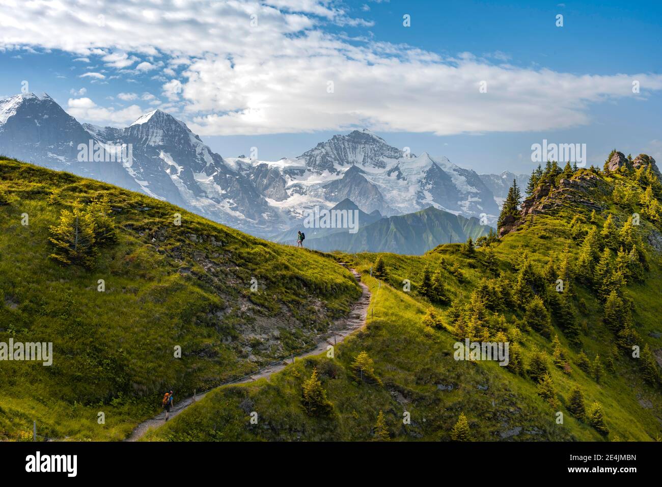 Escursionista su sentieri escursionistici, cime innevate, Eiger, Mönch, Jungfraujoch e Jungfrau, ghiacciaio Jungfraufirn, regione Jungfrau, Grindelwald, Berna, Foto Stock