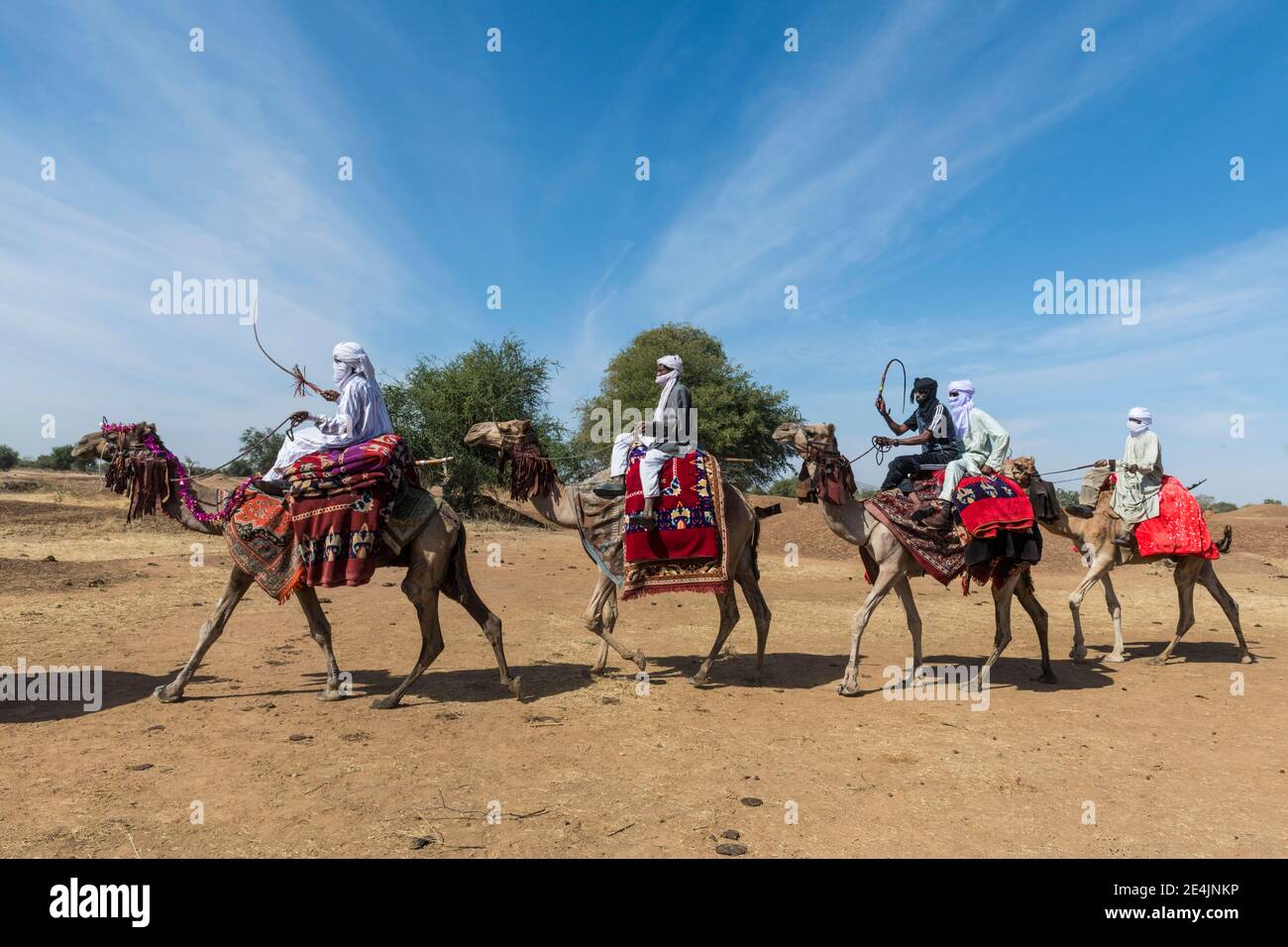 Variopinti cavalieri di cammelli in un festival tribale, Sahel, Ciad Foto Stock