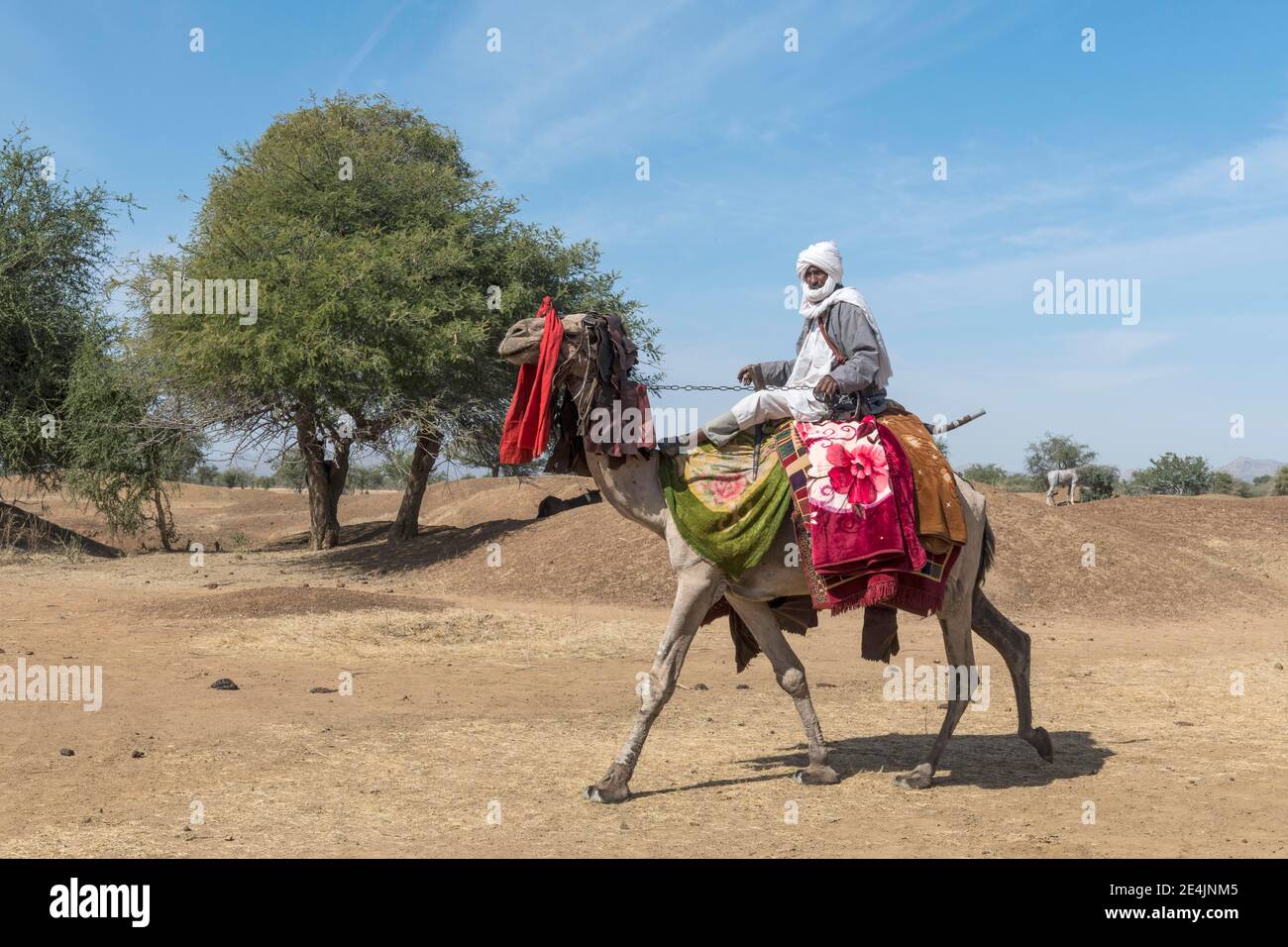 Colorato cavaliere di cammello ad un festival tribale, Sahel, Ciad Foto Stock