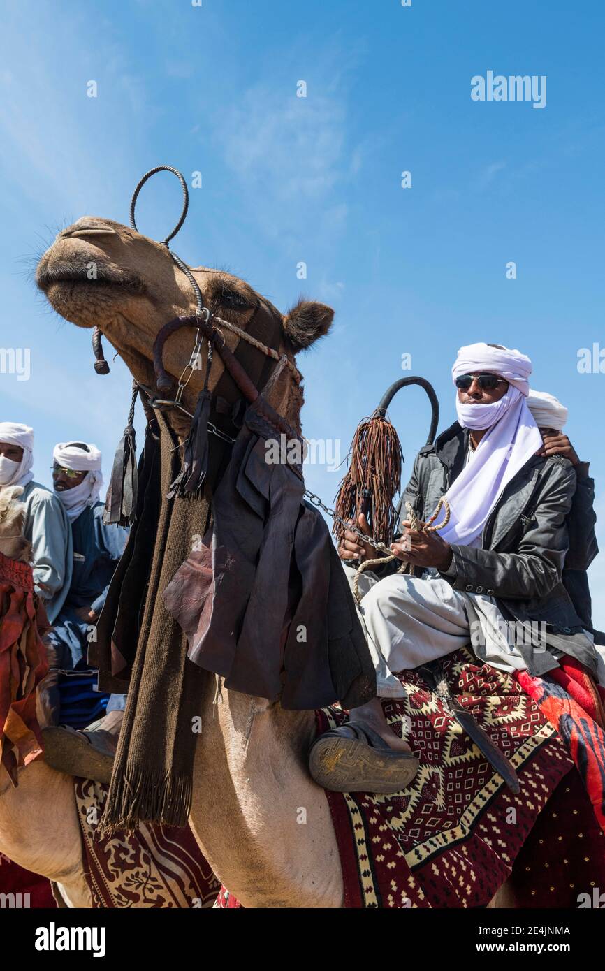 Variopinti cavalieri di cammelli in un festival tribale, Sahel, Ciad Foto Stock