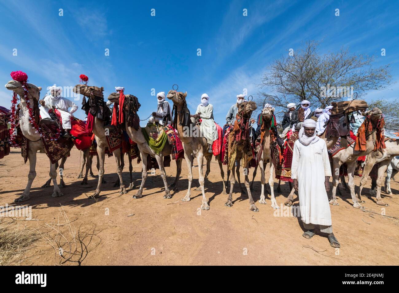 Variopinti cavalieri di cammelli in un festival tribale, Sahel, Ciad Foto Stock