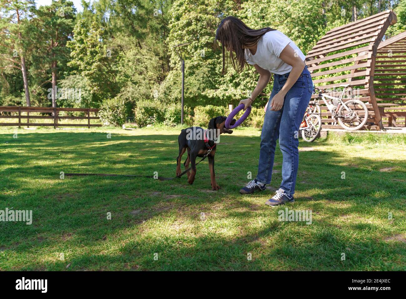 Carino donna caucasica in t-shirt bianca passare il tempo con Doberman cane di soia outdoors.Puppies istruzione, la cinologia, l'addestramento intensivo di giovani cani. Foto Stock