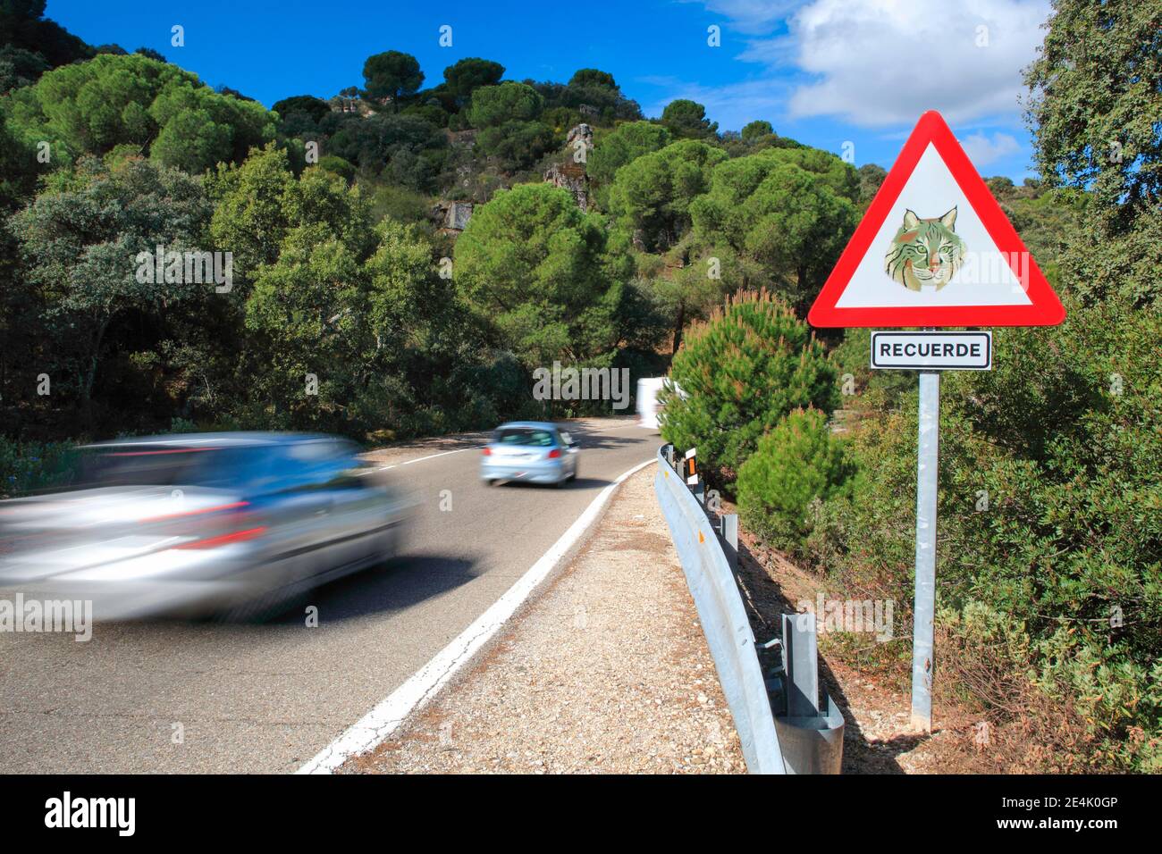 Strada nel Parco Nazionale della Sierra de Andujar, provincia di Jaen, Sierra Morena, Spagna Foto Stock
