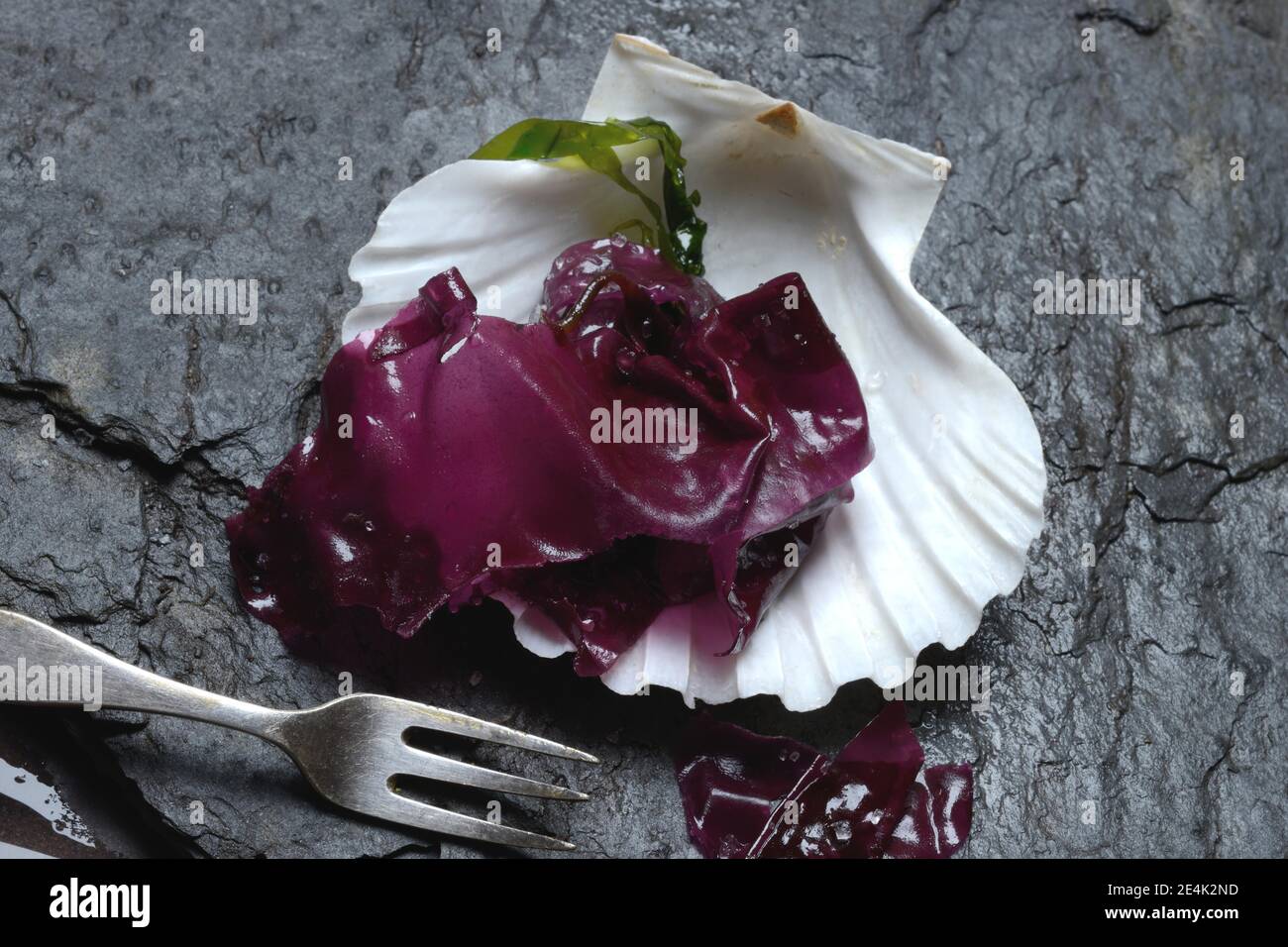 Alga rossa con sale marino in conchiglia e forchetta, Palmaria Palmata, Dulse Selvatica Foto Stock