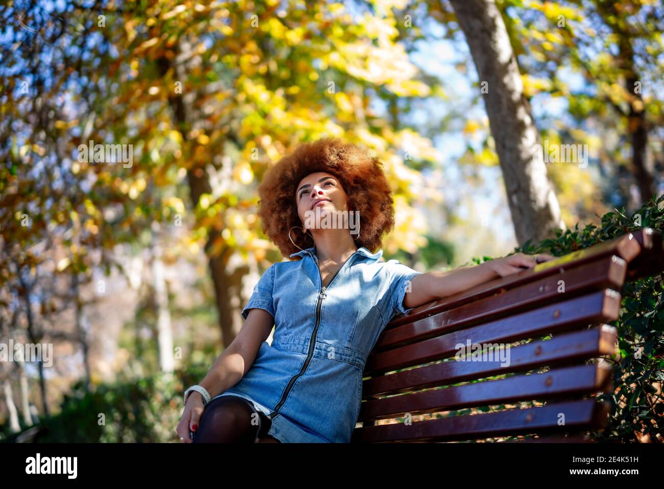 Donna mid adulta che guarda in su mentre il giorno sogna sulla panchina al parco pubblico Foto Stock