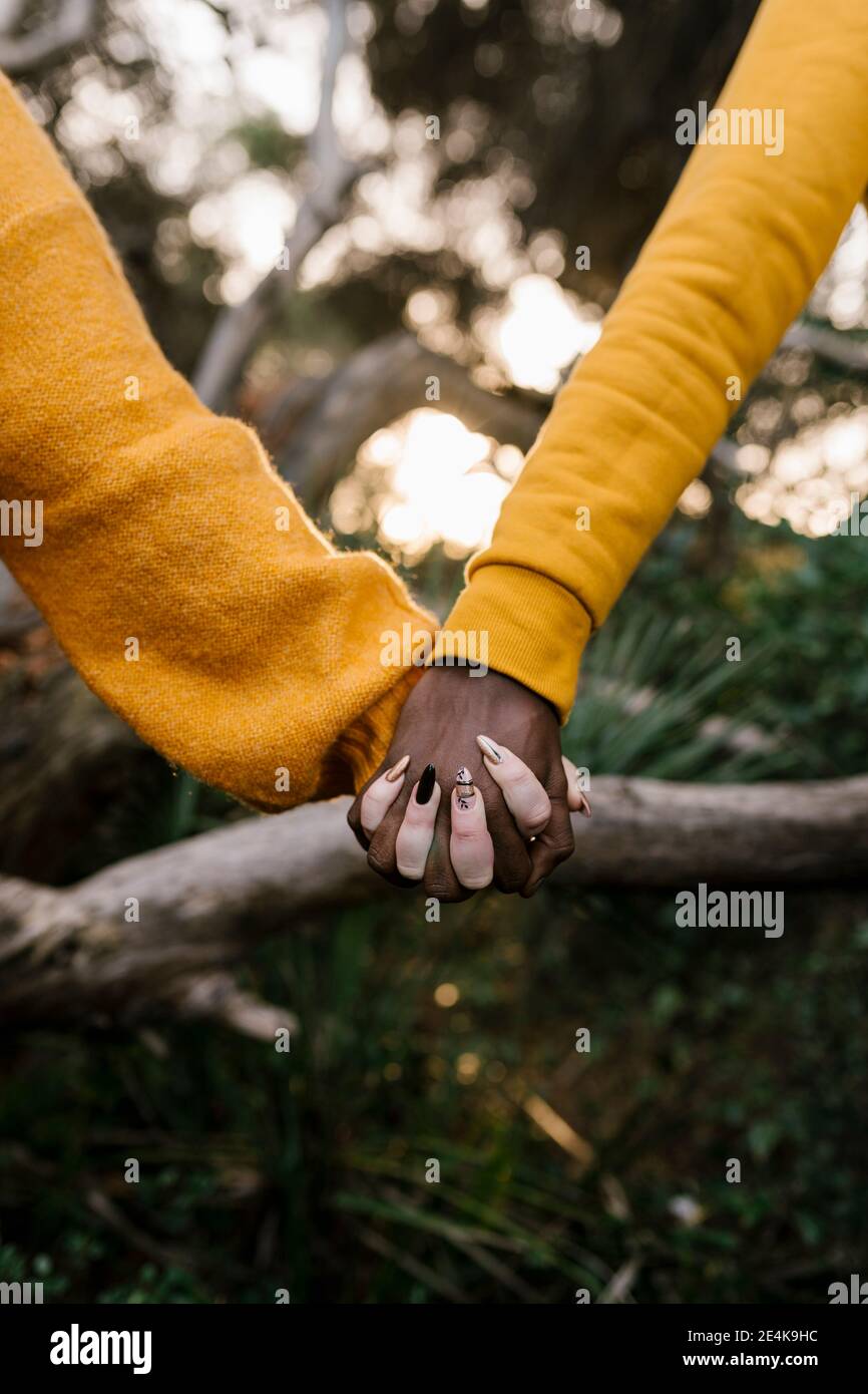 Primo piano di coppia che tiene le mani alla foresta Foto Stock