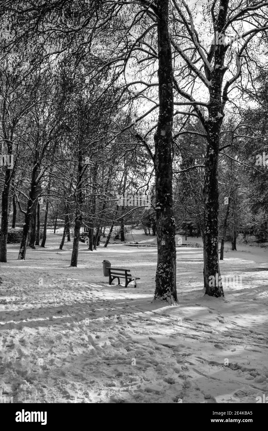 Scena invernale con neve in un parco pubblico nel sud Germania Foto Stock