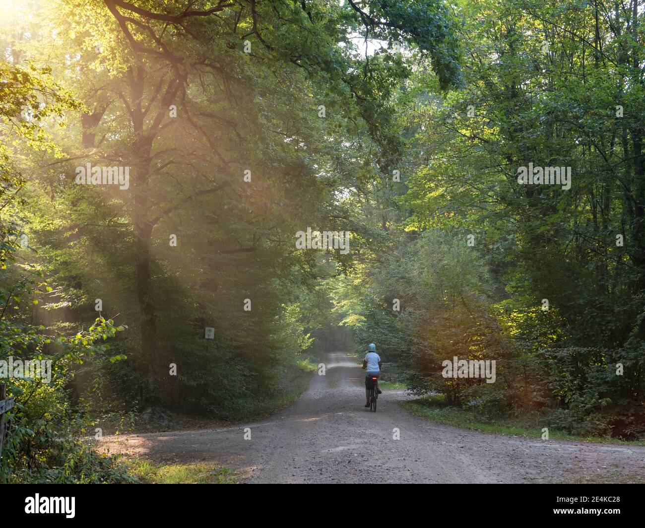 Senior femmina biker equitazione e-bike su strada sterrata in verde foresta Foto Stock
