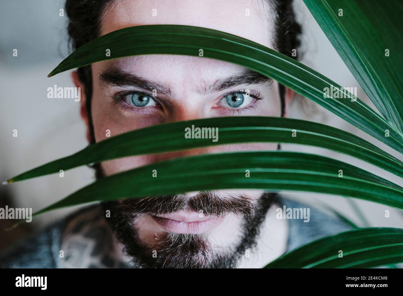 Giovane uomo con occhi blu in piedi dietro la foglia a casa Foto Stock