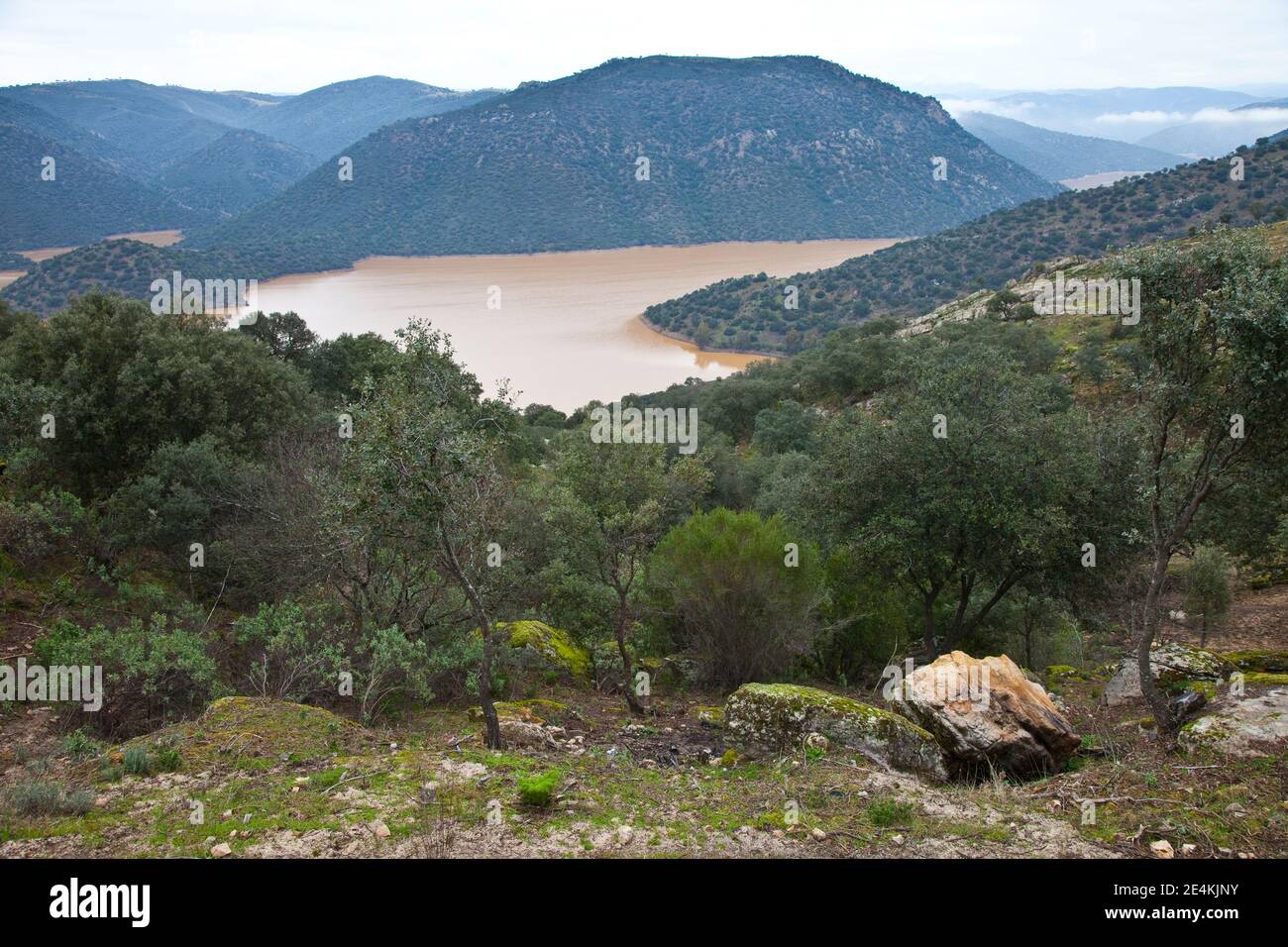 Embalse del Río Jándula, Parque Natural Sierra de Andújar, Jaen, Andalucía, España Foto Stock