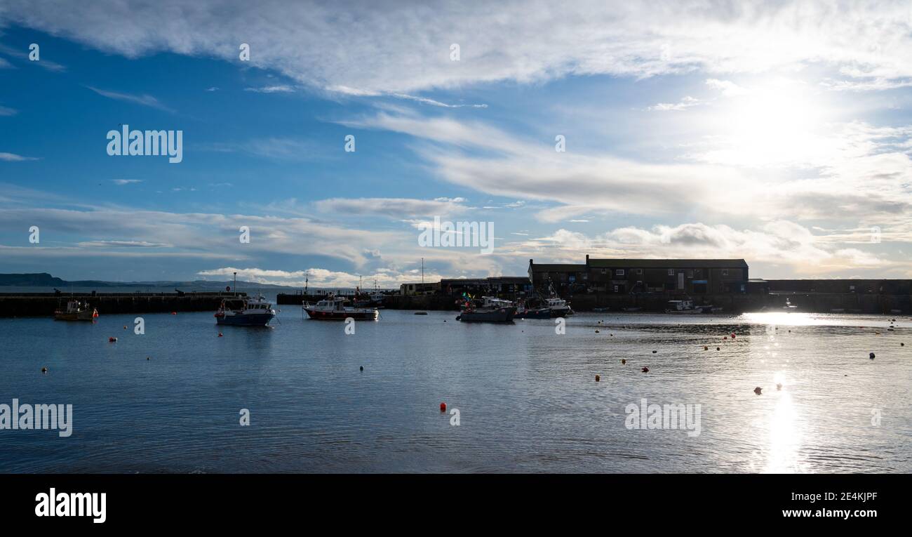 Lyme Regis, Dorset, Regno Unito. 24 gennaio 2021. Regno Unito tempo: Una giornata luminosa, soleggiata e fredda presso la località balneare di Lyme Regis. Barche nel porto di Lyme Regis durante il terzo blocco nazionale. Credit: Celia McMahon/Alamy Live News Foto Stock