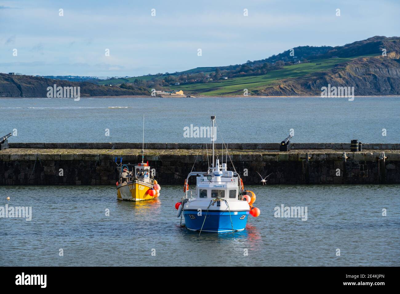 Lyme Regis, Dorset, Regno Unito. 24 gennaio 2021. Regno Unito tempo: Una giornata luminosa, soleggiata e fredda presso la località balneare di Lyme Regis. Barche nel porto di Lyme Regis durante il terzo blocco nazionale. Credit: Celia McMahon/Alamy Live News Foto Stock