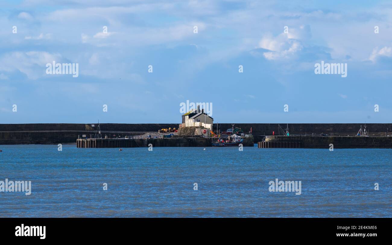 Lyme Regis, Dorset, Regno Unito. 24 gennaio 2021. Regno Unito tempo: Una giornata luminosa, soleggiata e fredda presso la località balneare di Lyme Regis durante il terzo blocco nazionale. Credit: Celia McMahon/Alamy Live News Foto Stock