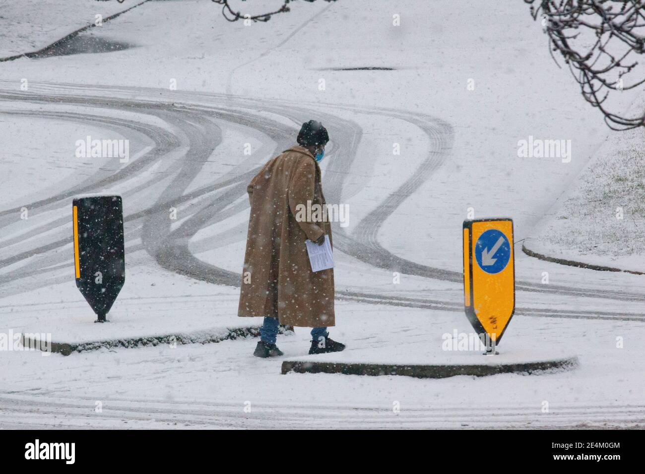 UK Weather, Londra, 24 gennaio 2021: Una rara nevicata ha raggiunto la capitale la domenica mattina, rivestendo alberi e ruscelli con circa 2 cm di neve nel corso di 2 ore. Anna Watson/Alamy Live News Foto Stock