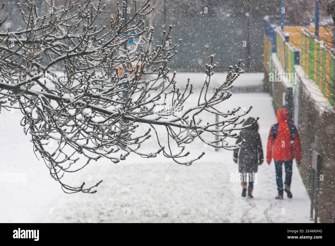UK Weather, Londra, 24 gennaio 2021: Una rara nevicata ha raggiunto la capitale la domenica mattina, rivestendo alberi e ruscelli con circa 2 cm di neve nel corso di 2 ore. Anna Watson/Alamy Live News Foto Stock