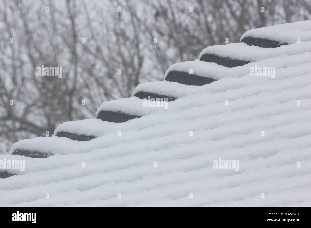 UK Weather, Londra, 24 gennaio 2021: Una rara nevicata ha raggiunto la capitale la domenica mattina, rivestendo alberi e ruscelli con circa 2 cm di neve nel corso di 2 ore. Anna Watson/Alamy Live News Foto Stock
