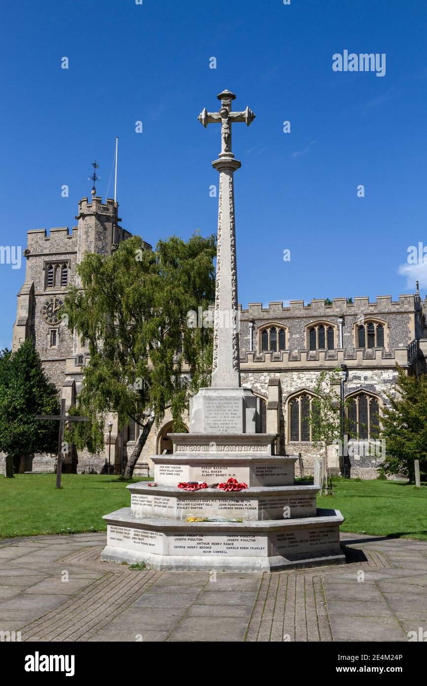 Tring War Memorial di fronte alla chiesa di San Pietro e San Paolo a Tring, Hertfordshire, Regno Unito. Foto Stock