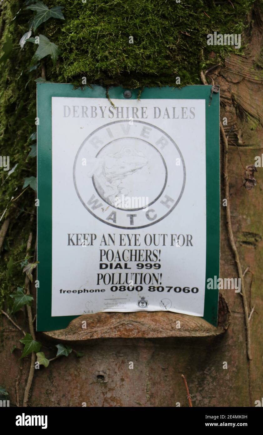 Poster di osservazione del fiume Derbyshire Dales presso il fiume Wye a. Litton Mill Foto Stock