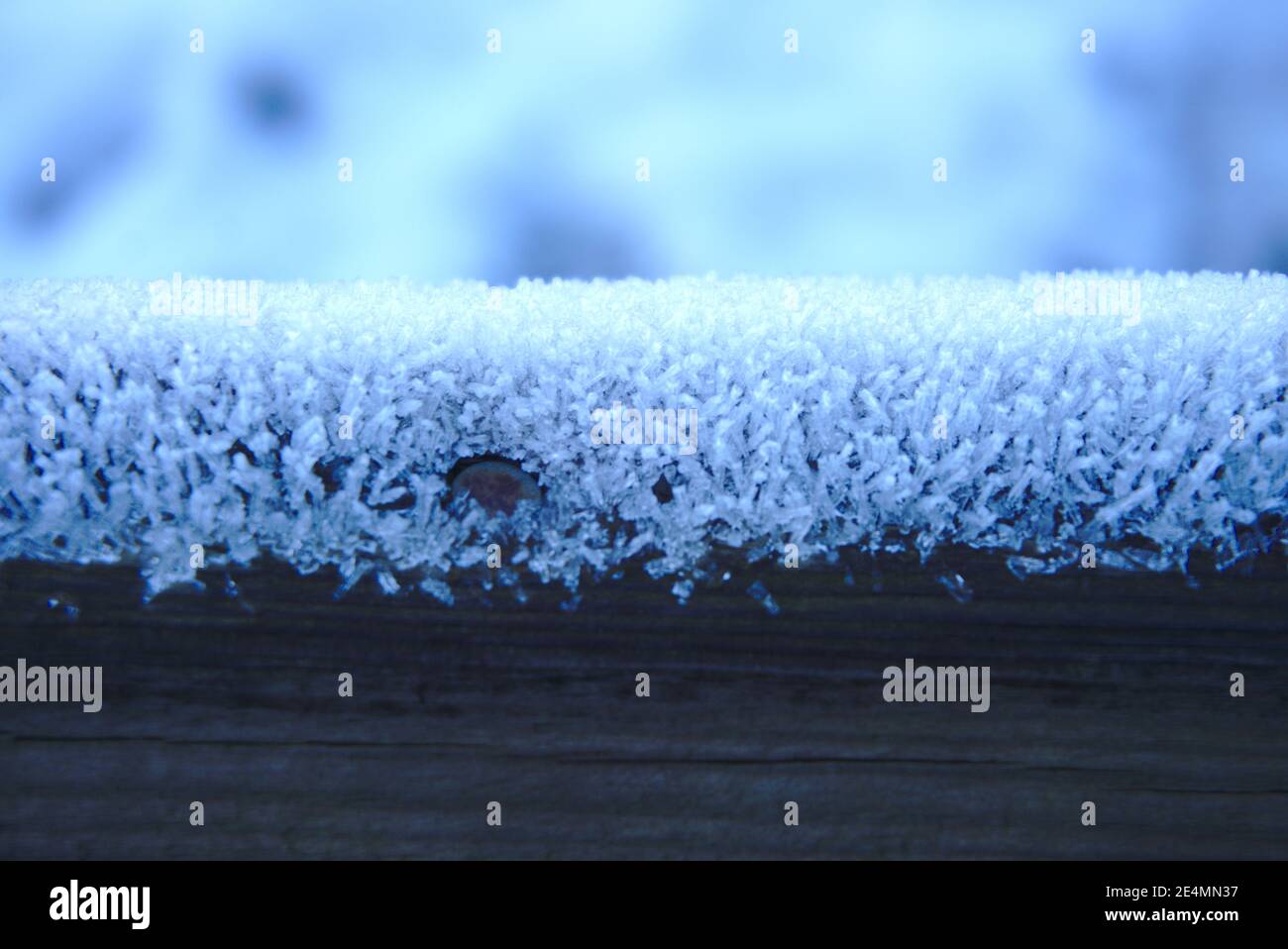 Primo piano di cristalli di gelo in cima a una frence di legno in un giardino scozzese in inverno. Foto Stock