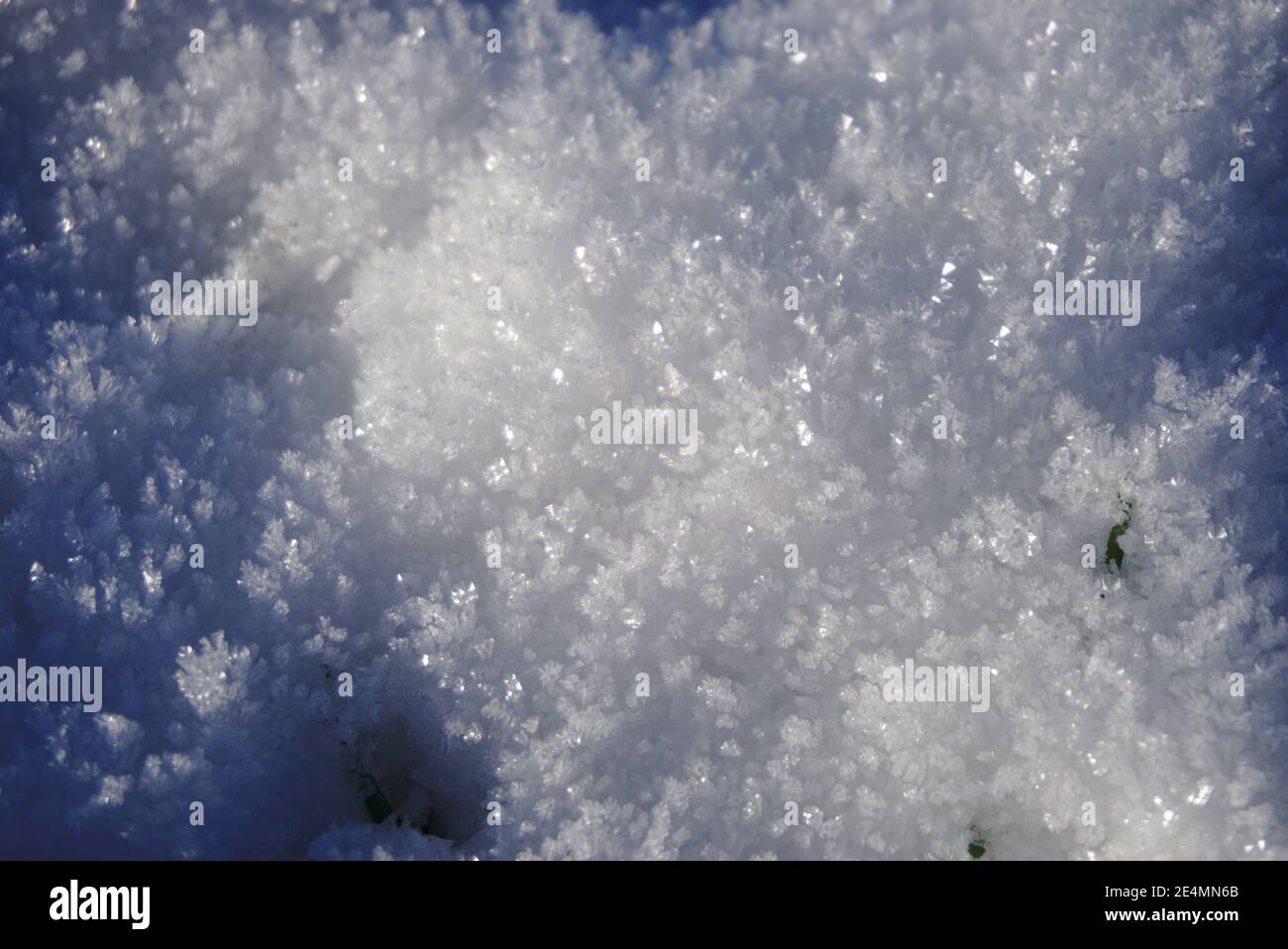 Primo piano di cristalli di gelo che in inverno fanno un disegno astratto sul terreno di un giardino scozzese. Foto Stock