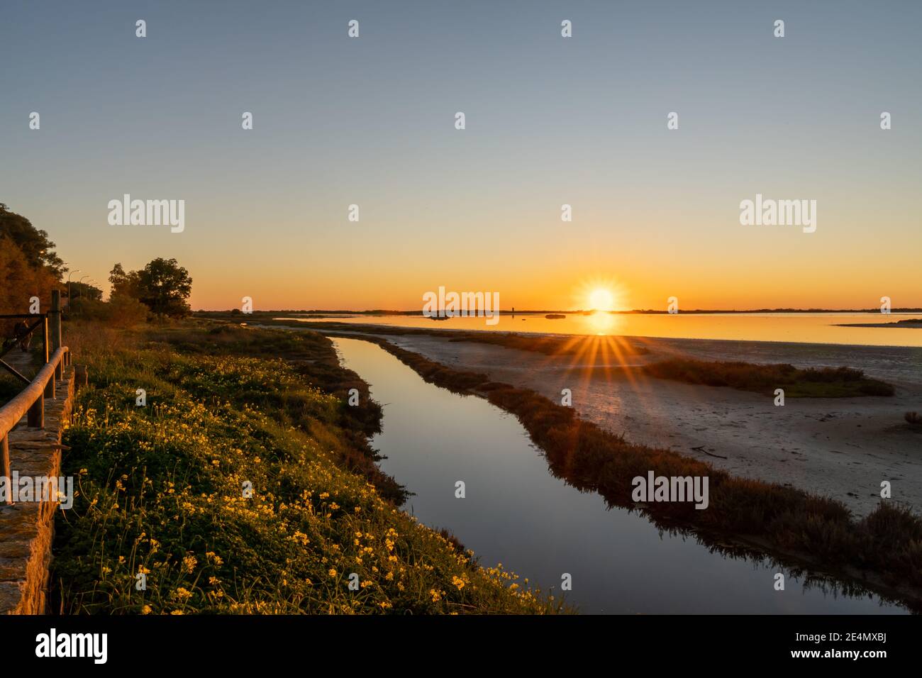 Splendido tramonto sulle paludi e sulle paludi con un cielo colorato e una stella del sole all'orizzonte Foto Stock