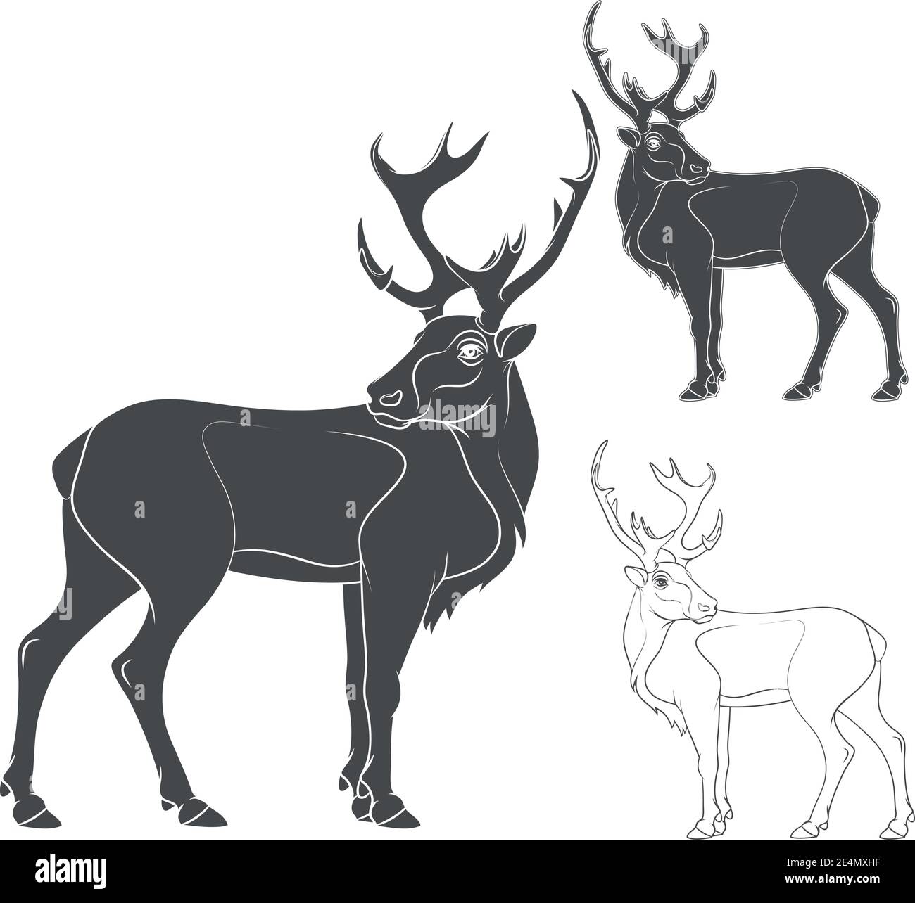 Illustrazione vettoriale in bianco e nero di un cervo. Oggetti isolati. Illustrazione Vettoriale