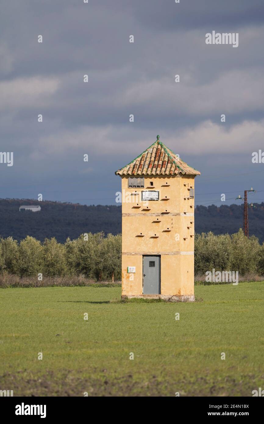 Campi coltivati intorno al parco naturale Fuente de Piedra con vecchia torre con possibilità di nido d'uccello, Andalusia, Spagna. Foto Stock
