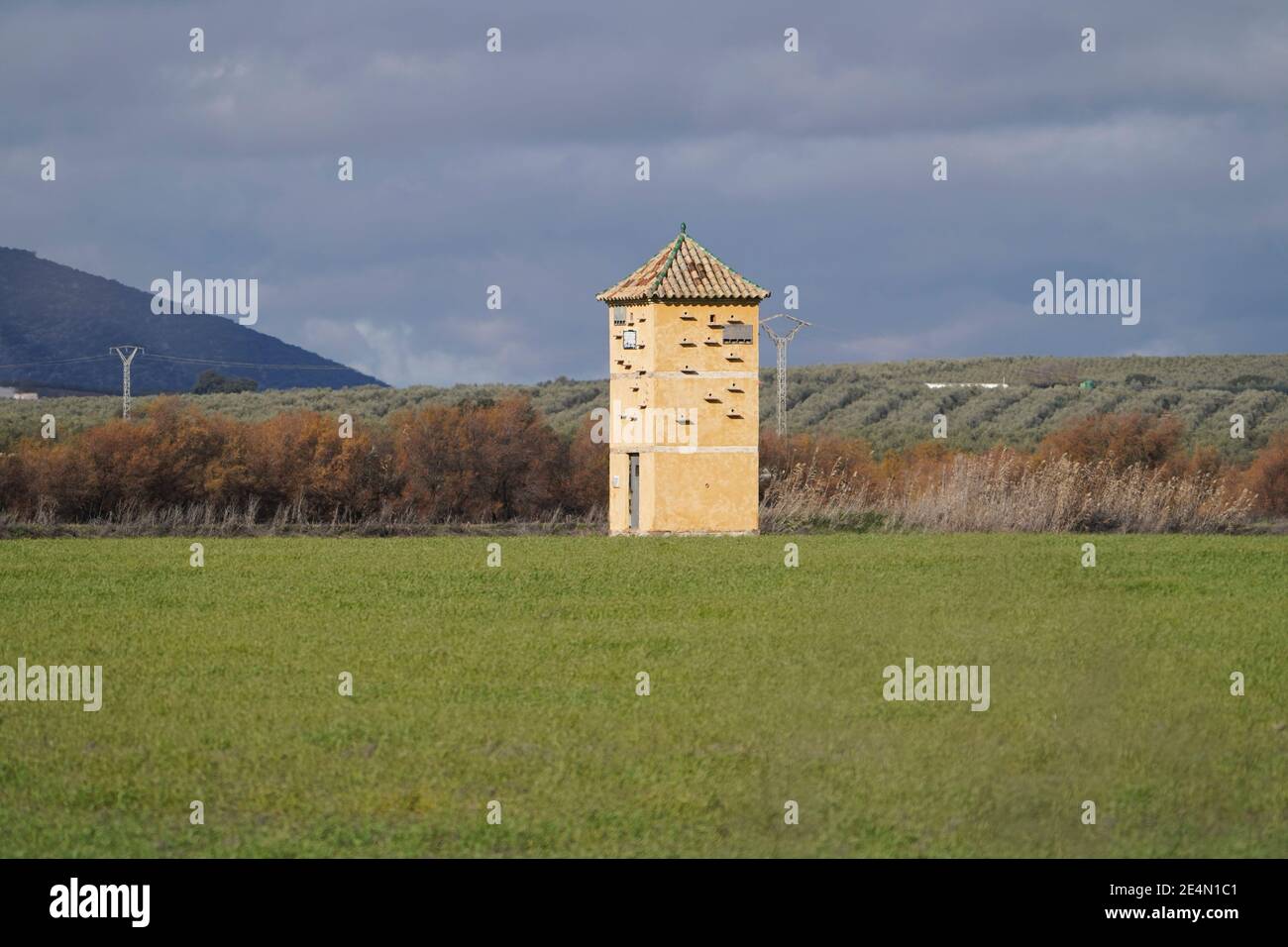 Campi coltivati intorno al parco naturale Fuente de Piedra con vecchia torre con possibilità di nido d'uccello, Andalusia, Spagna. Foto Stock