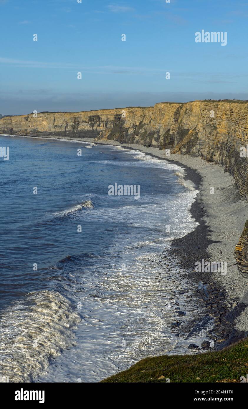 Una vista ritratto della curva delle scogliere calcaree di Liassic che corrono ad ovest dalla spiaggia di Nash Point in un pomeriggio soleggiato di novembre, costa meridionale del Galles Foto Stock