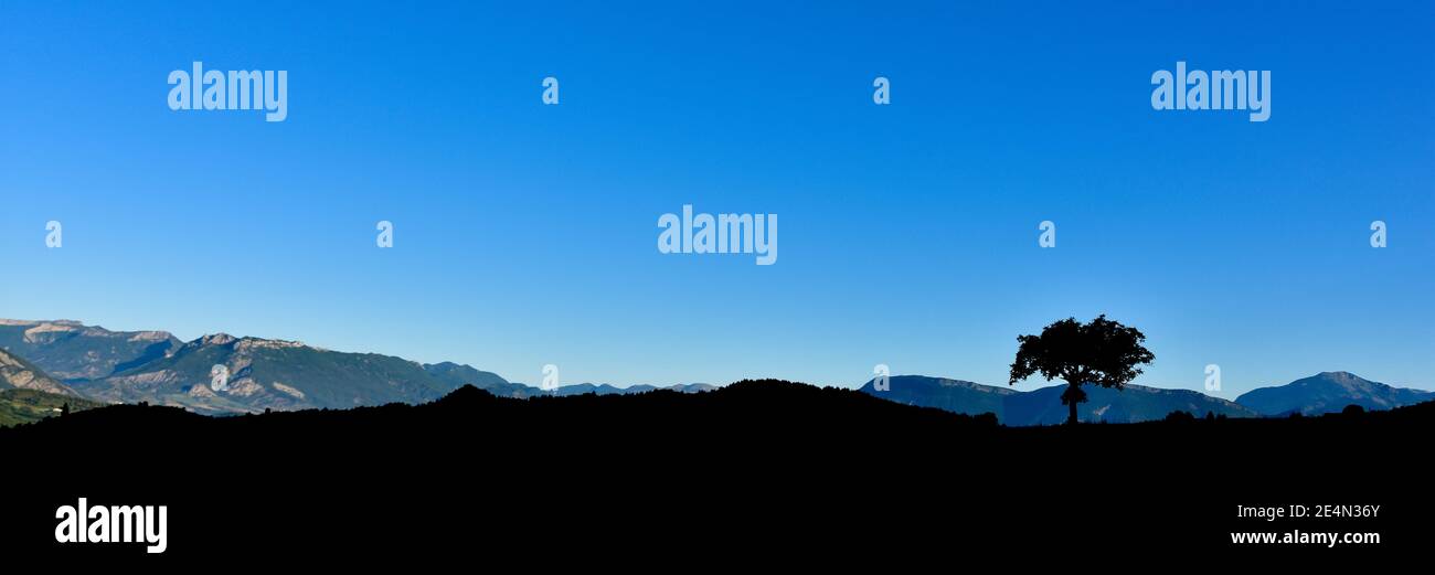 La silhouette dell'albero solitario all'alba. Sfondo di colline e cielo blu. Spazio di copia per il testo Foto Stock