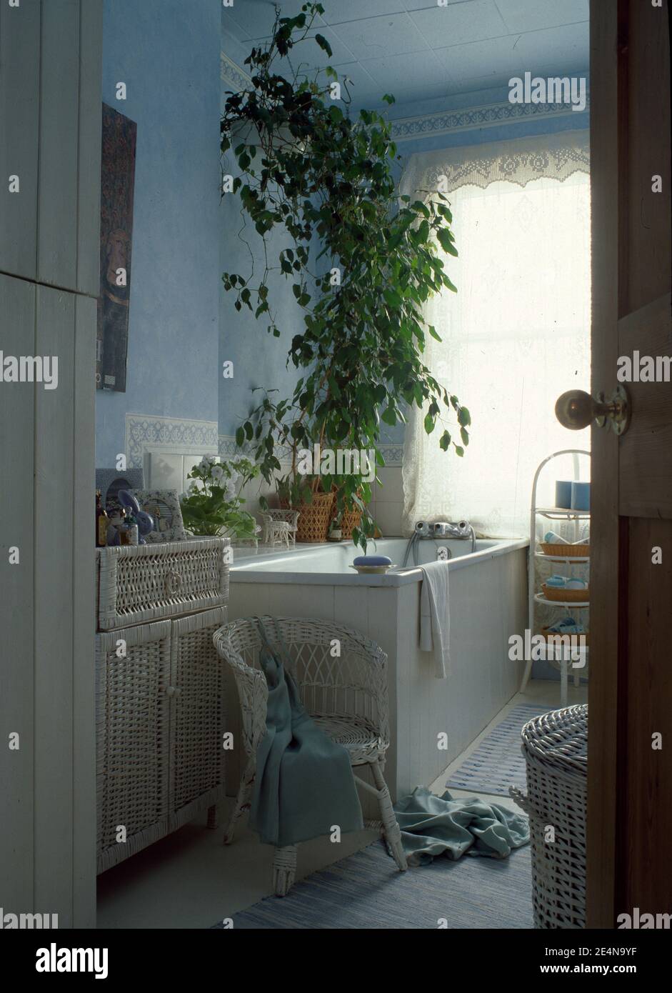 Bagno tradizionale con grande pianta verde Foto Stock