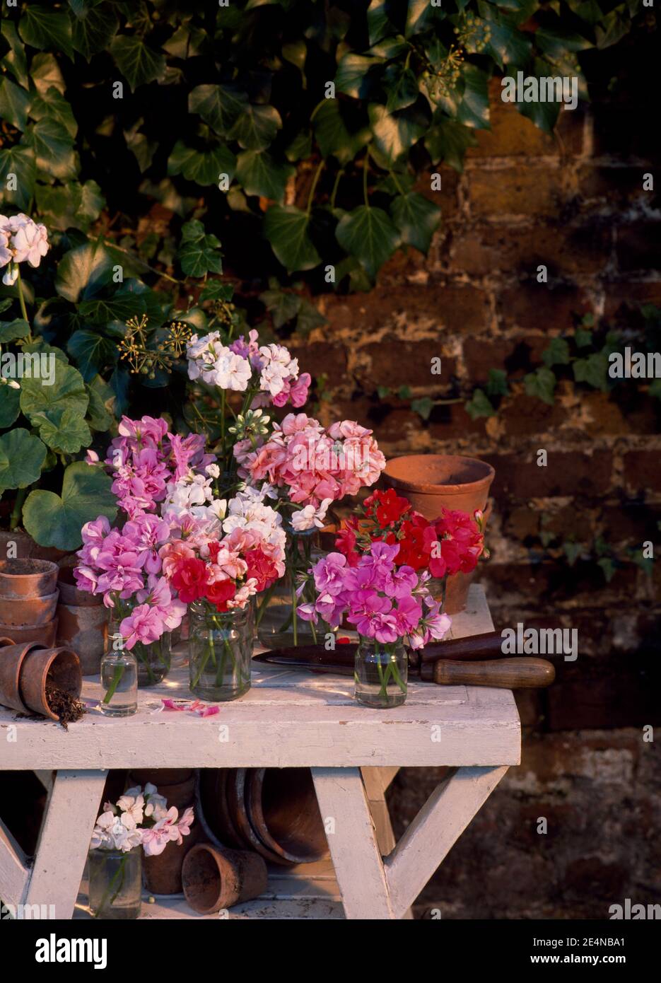 Vasi di fiori di piselli dolci e altri raccolti dal giardino estivo. Foto Stock