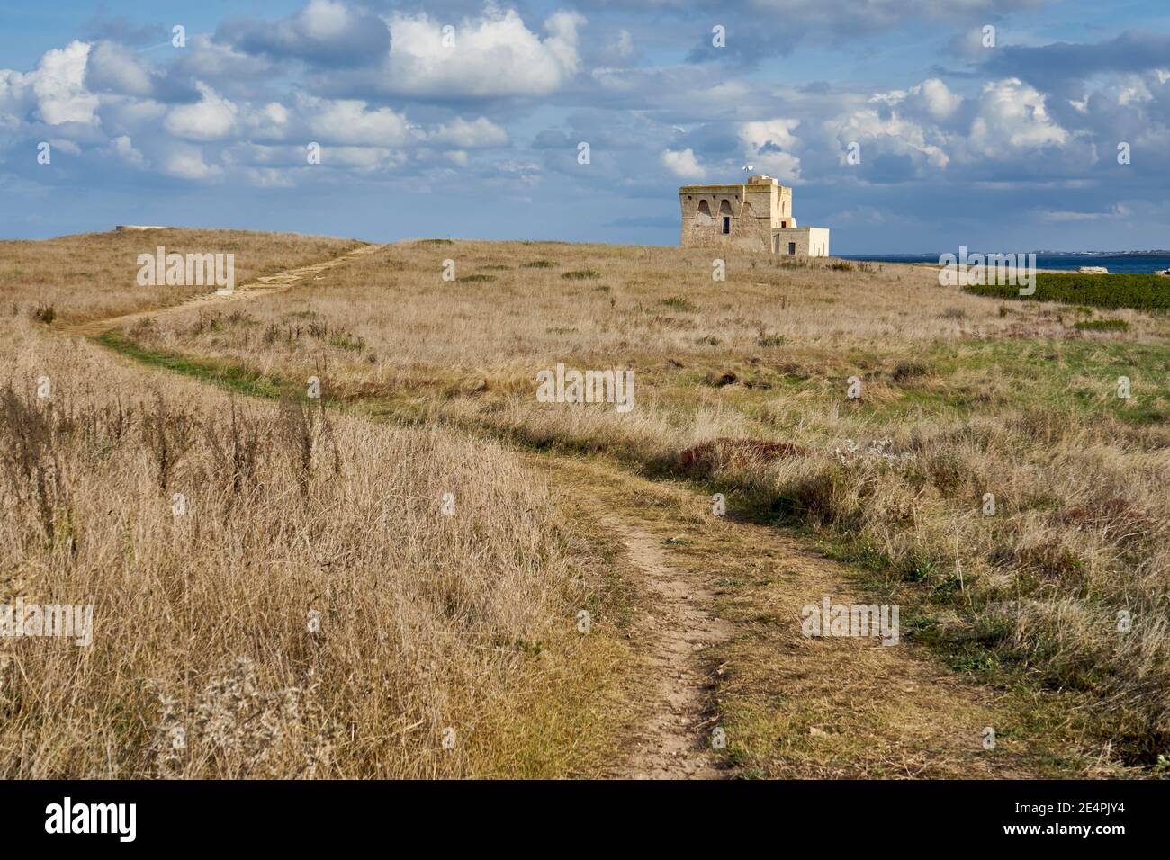 Torre difensiva antica del XVI secolo Torre Guaceto in Centro DI una Riserva Naturale lungo la Costa di Puglia Italia Foto Stock