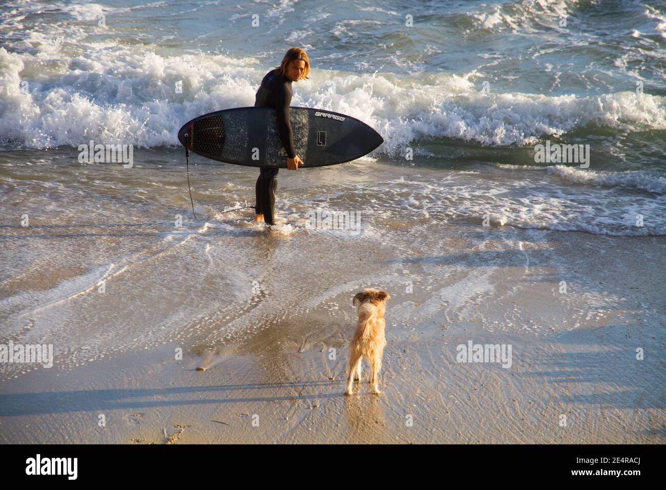 Surfer portare la sua tavola con cane guardando Foto Stock