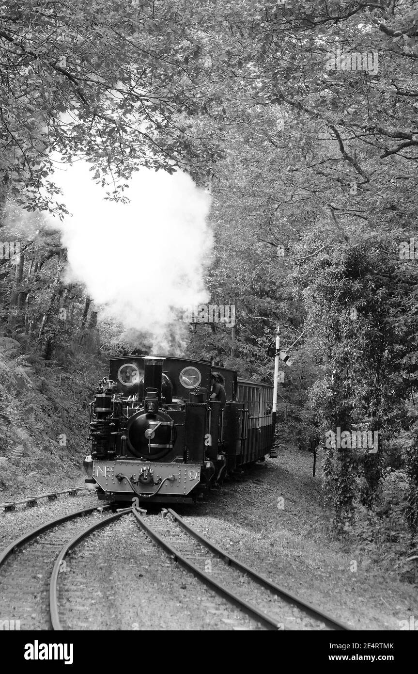"Prince of Wales", doppia direzione con "8" ("Llywelyn"), entrando nella stazione di Aberffrwd. Foto Stock