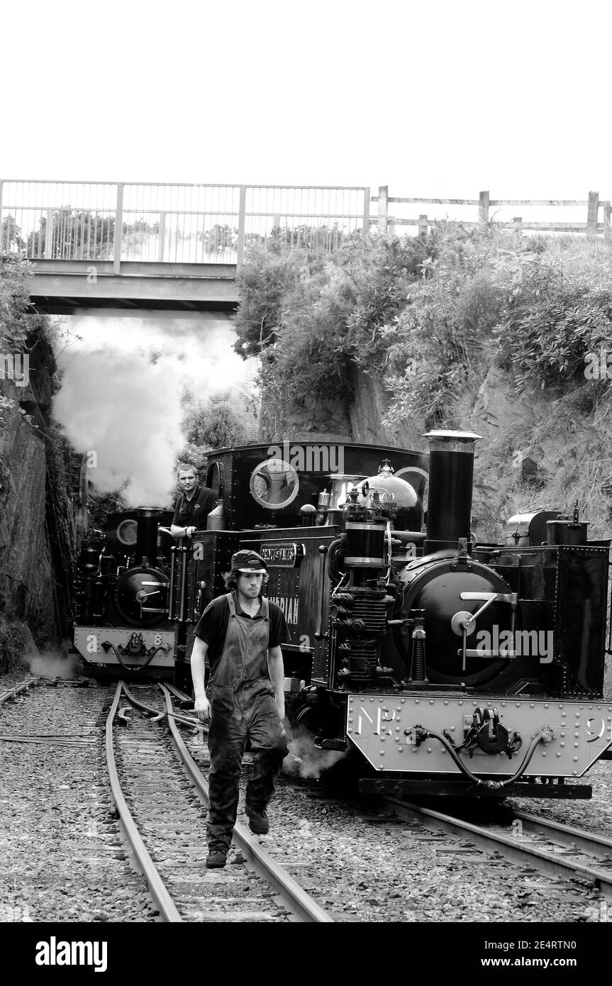 'Prince of Wales' si accoppia al treno come No. 8 attende in background per accoppiarsi con 'Prince of Wales'. Foto Stock