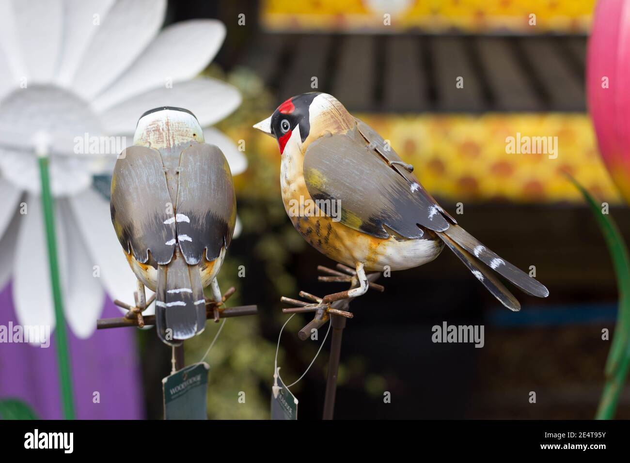 ladrone fatto dall'uomo che canta nella neve d'inverno in giardino Foto Stock