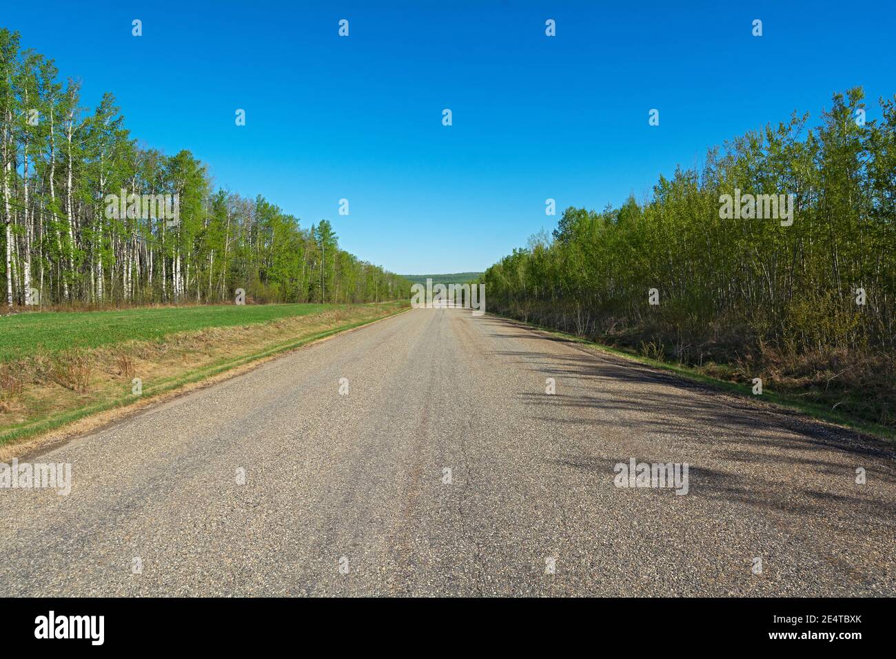 Canada, British Columbia, Old Alaska Highway, circa 20 km a nord di Dawson Creek Foto Stock