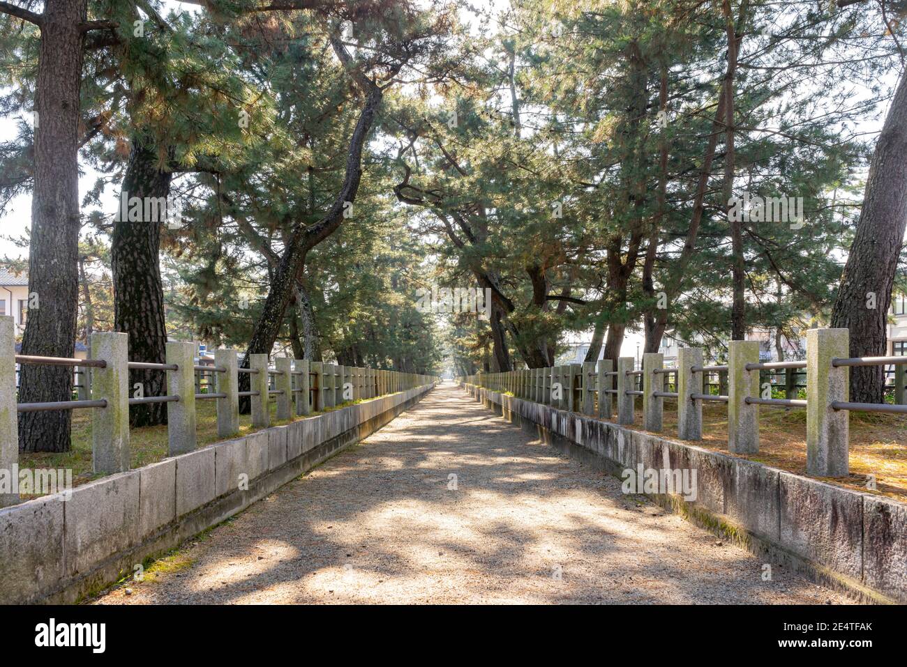 La passerella rettilinea nella parte anteriore dello storico Tempio di Horyu Ji a Nara, Giappone Foto Stock