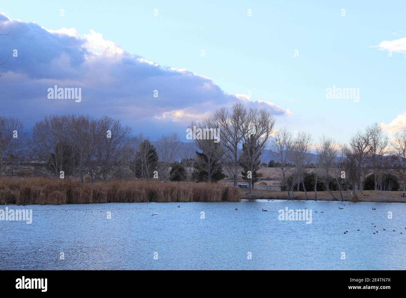 Cose semplici Foto Stock